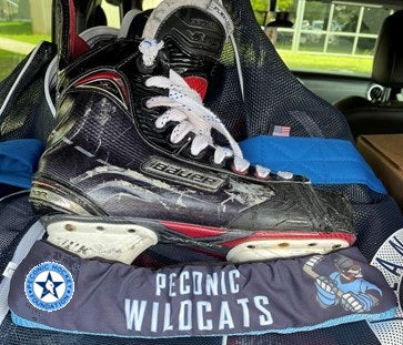 Wildcats Skate Soakers