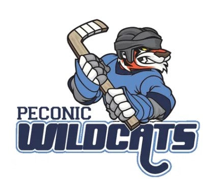 Wildcats Car Magnet